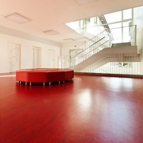 Ciral – Image 2